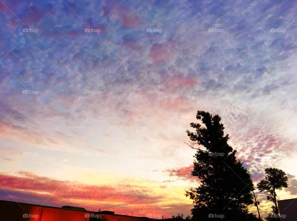 Indy sky in the morning. 