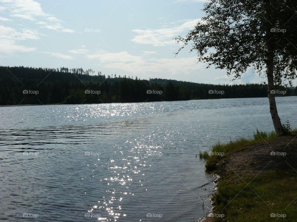 Sweden. Summer in Sweden 