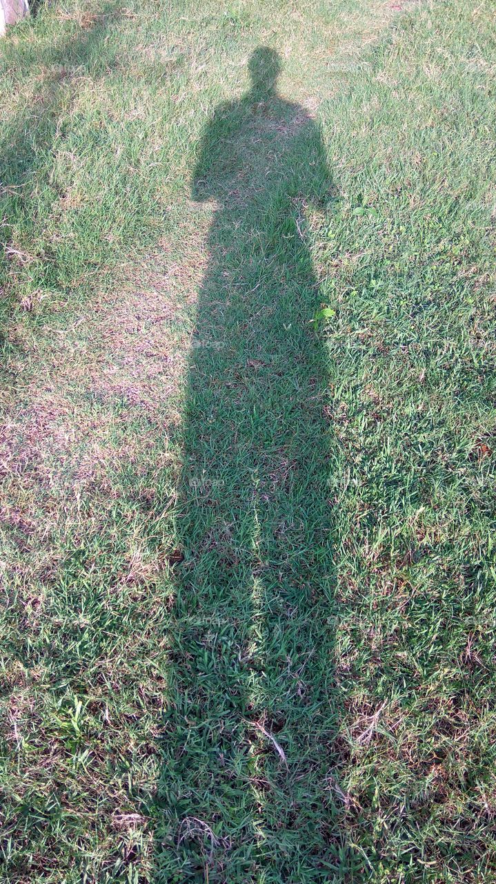 the man shade in grass