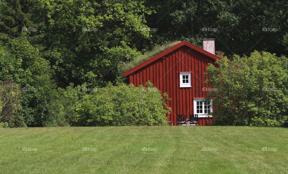 Red cottage in the greenery.