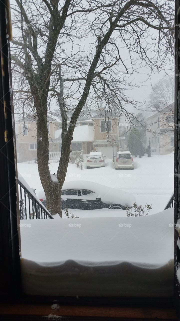 Snow storm in NY1/22/16