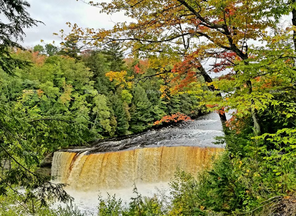 Tahquamenon Waterfalls, Upper Peninsula Michigan. Summer turning into fall.
