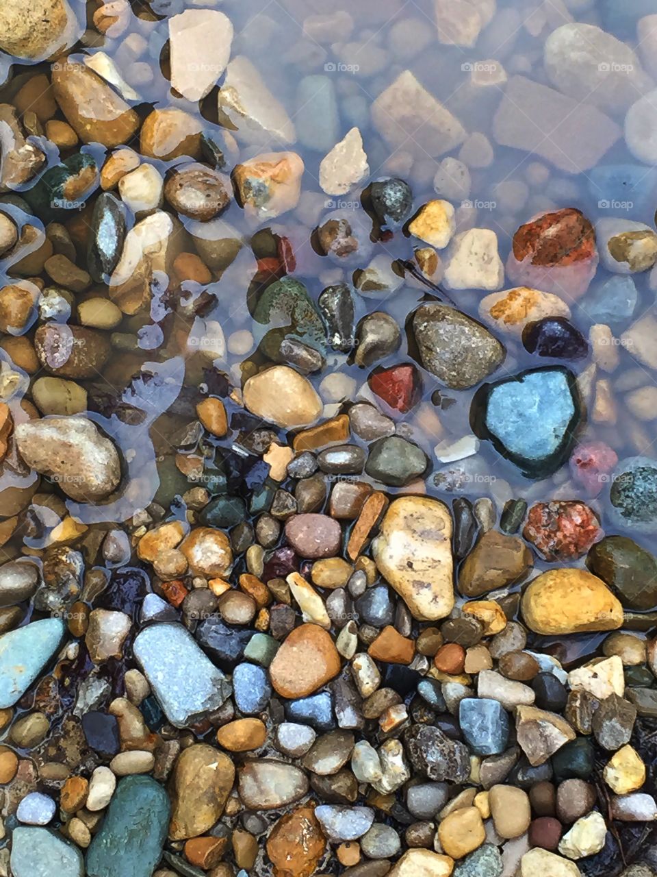 Pebbles in Puddle