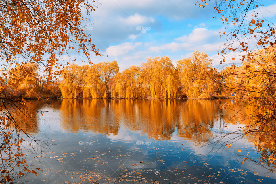 Colorful autumn landscape