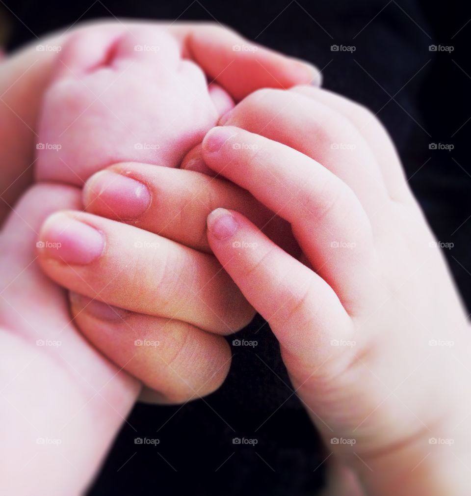 Baby holding human's hand