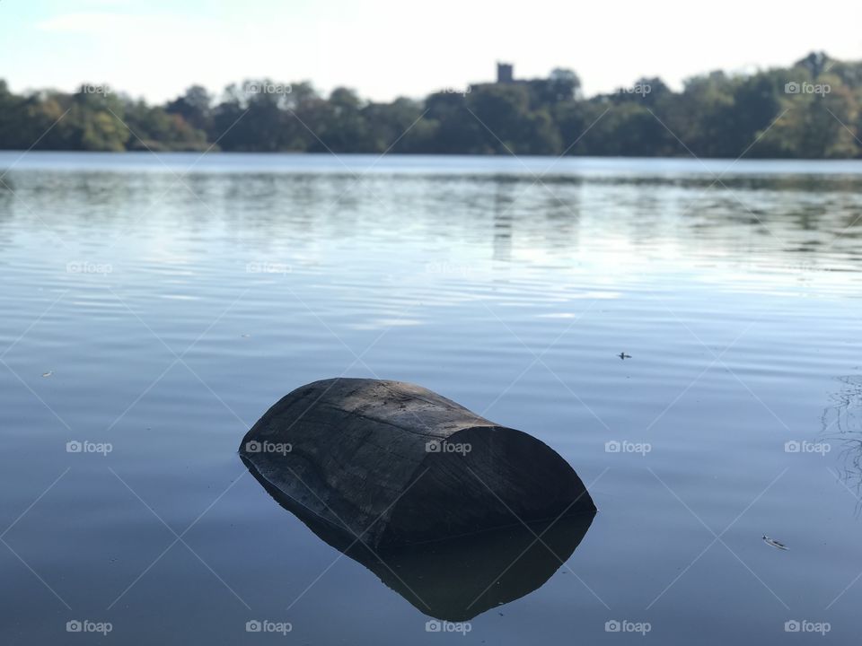 Log in the lake