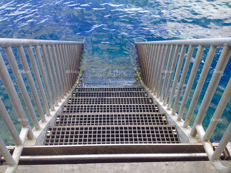 Mermaid Ladder. Point Defiance Park