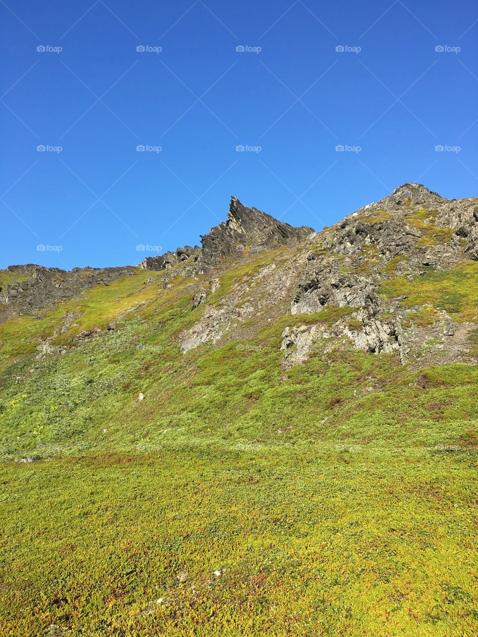 Rocks in tundra 