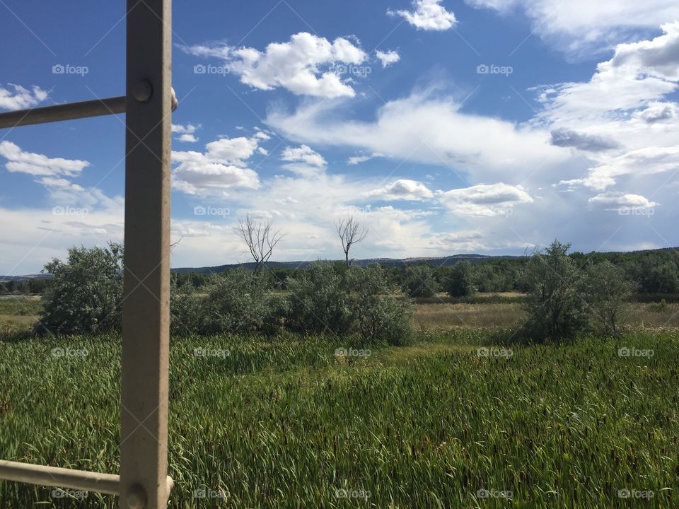 No Person, Landscape, Tree, Sky, Agriculture