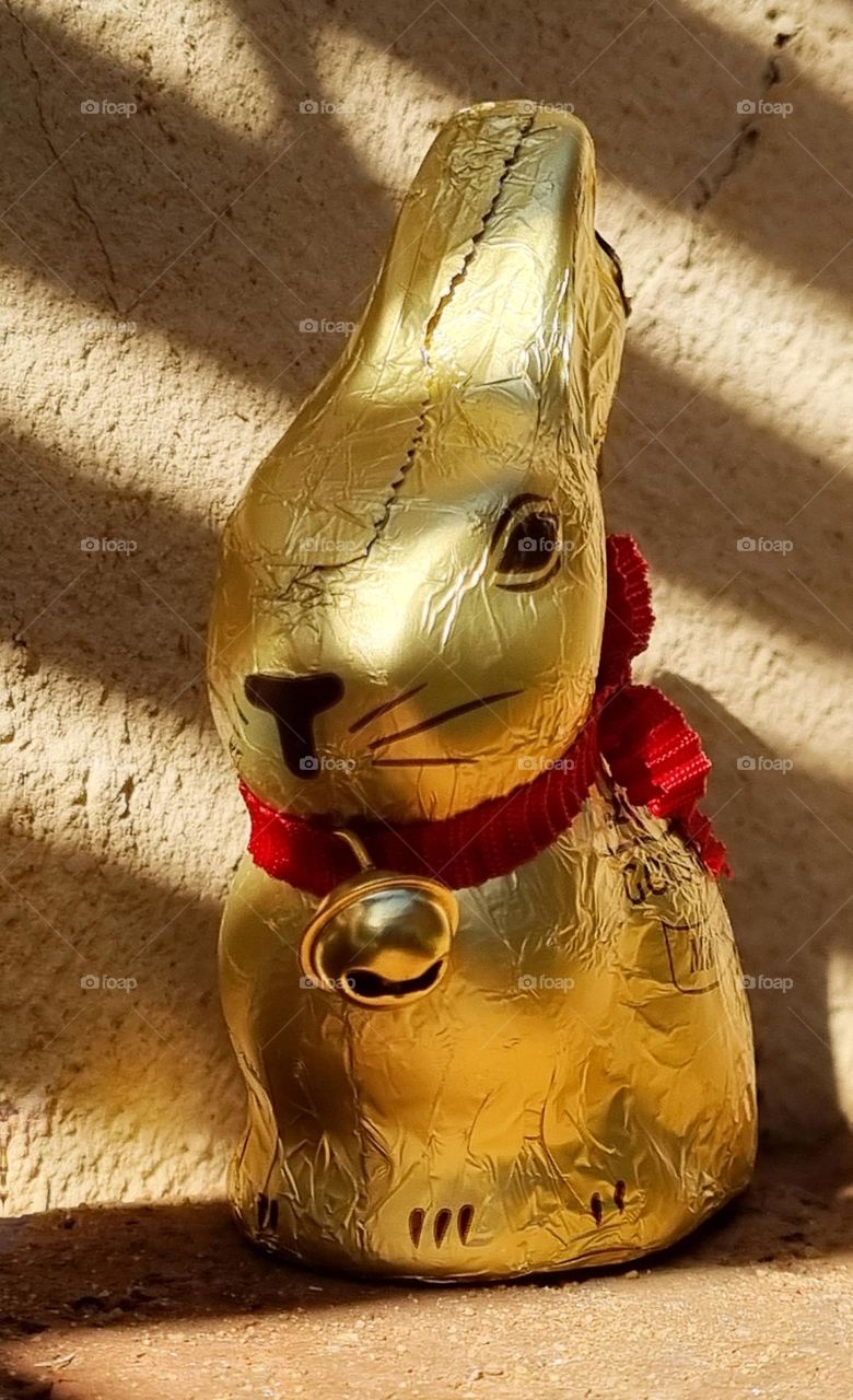 chocolate Easter bunny