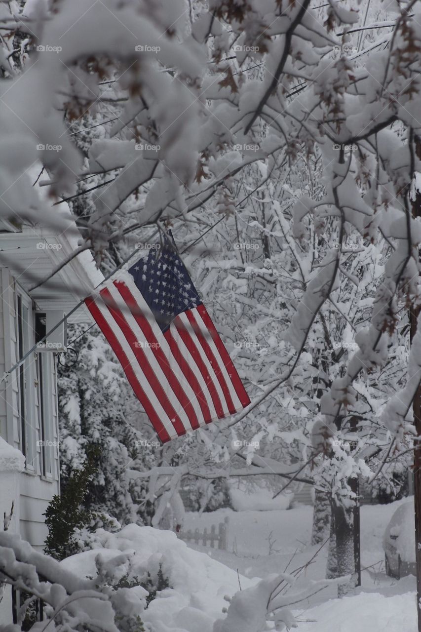 Flag flying in winter