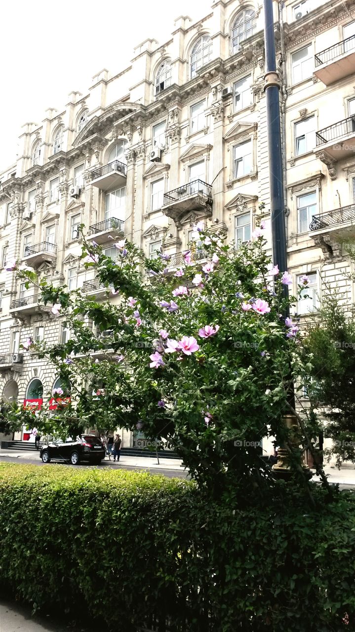 Architectural building at the city centre