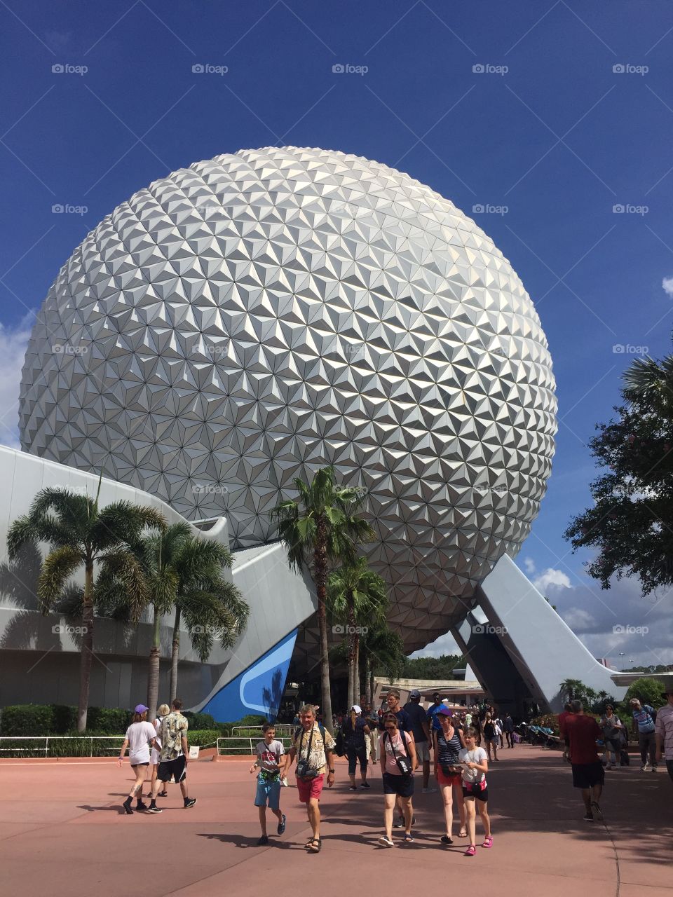 everyone is going to have a ball today