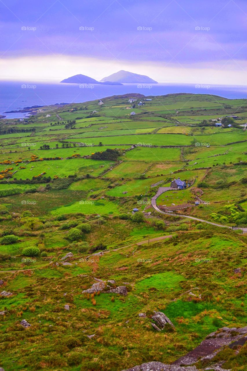 High angle view of farm land