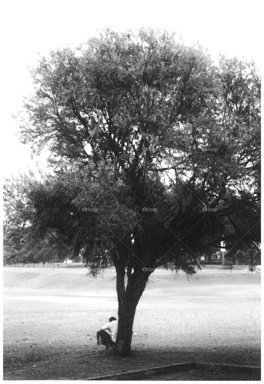 Lonely man sitting under tree