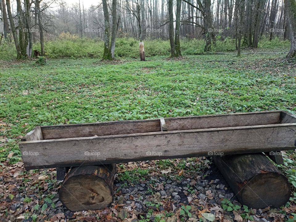 Animal feeder in the forest