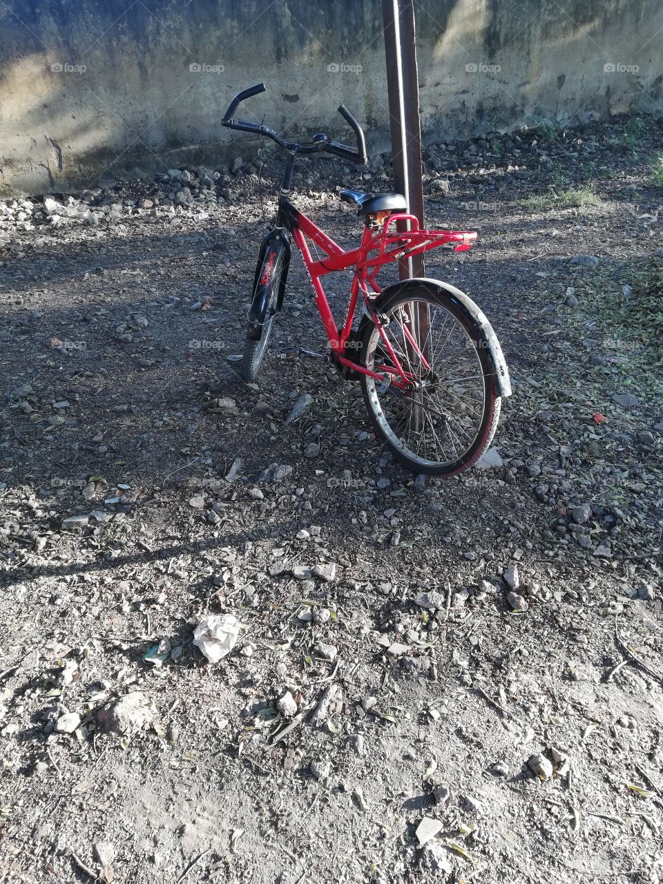 Common means of transport in India bicycle