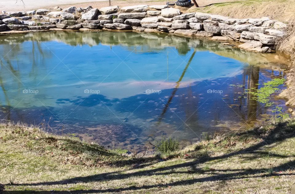 A spring fed swimming hole with a stone wall reflectioning trees and a swinging rope in the water. 
