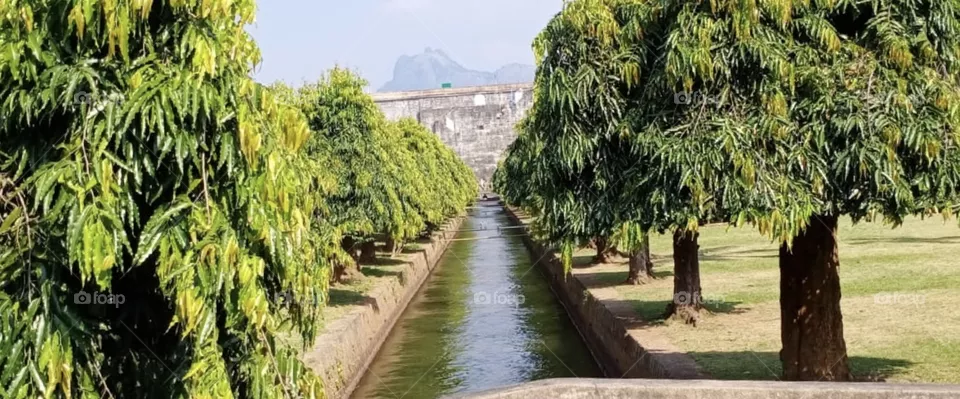 kerala malampuzha dam
