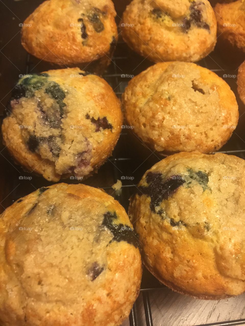 Fresh Blueberry Muffins