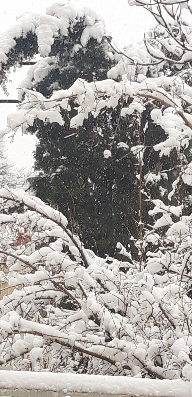 snow