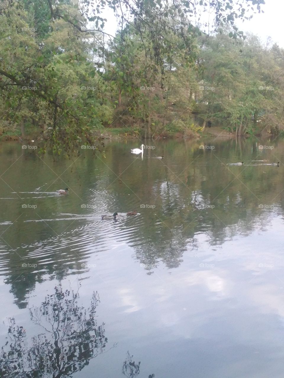 Water, Nature, Lake, Landscape, Reflection