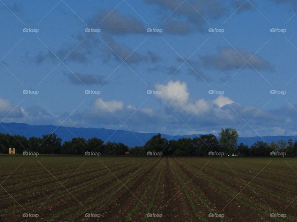 Farmland blue cloud sky