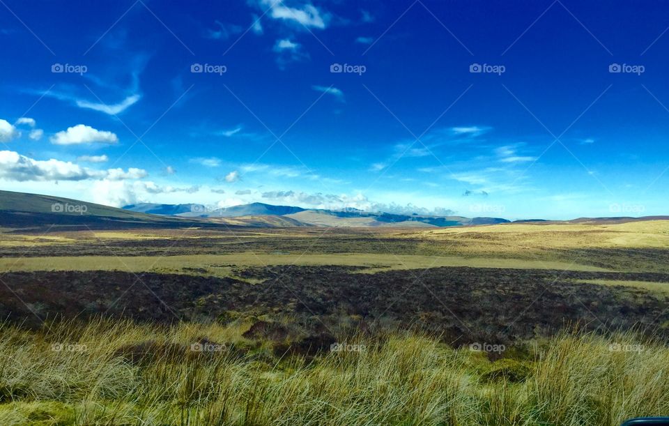 Scenic view of landscape