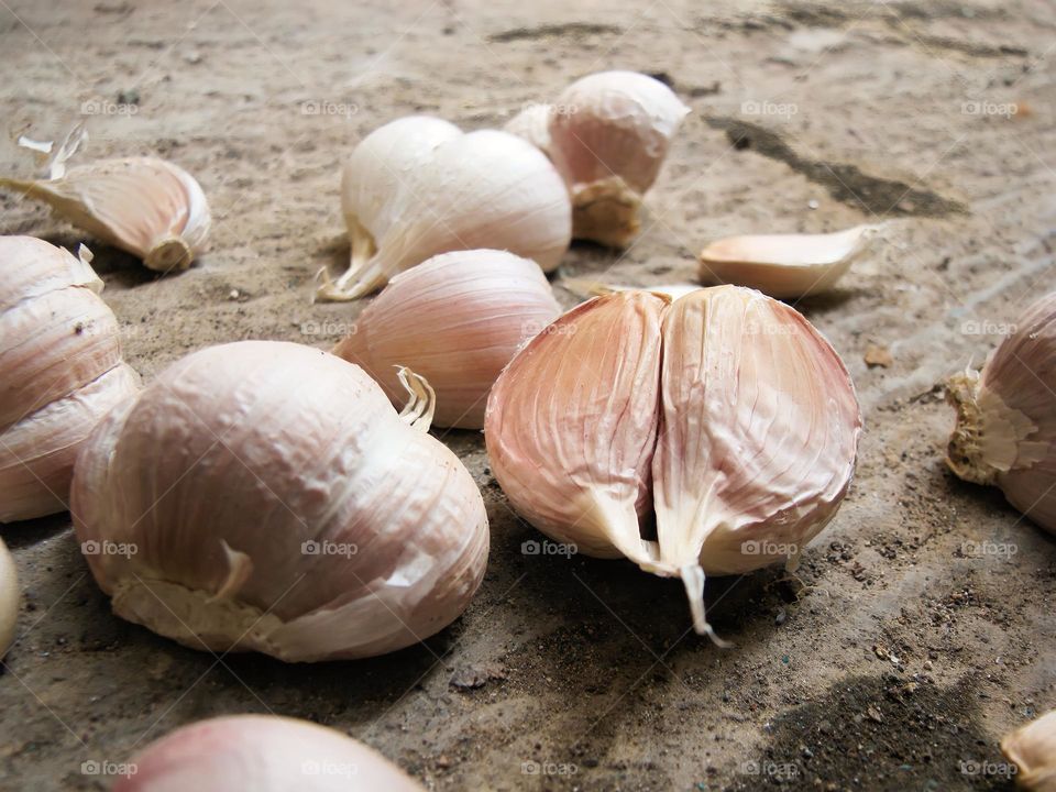 Close-up of a bunch of garlic