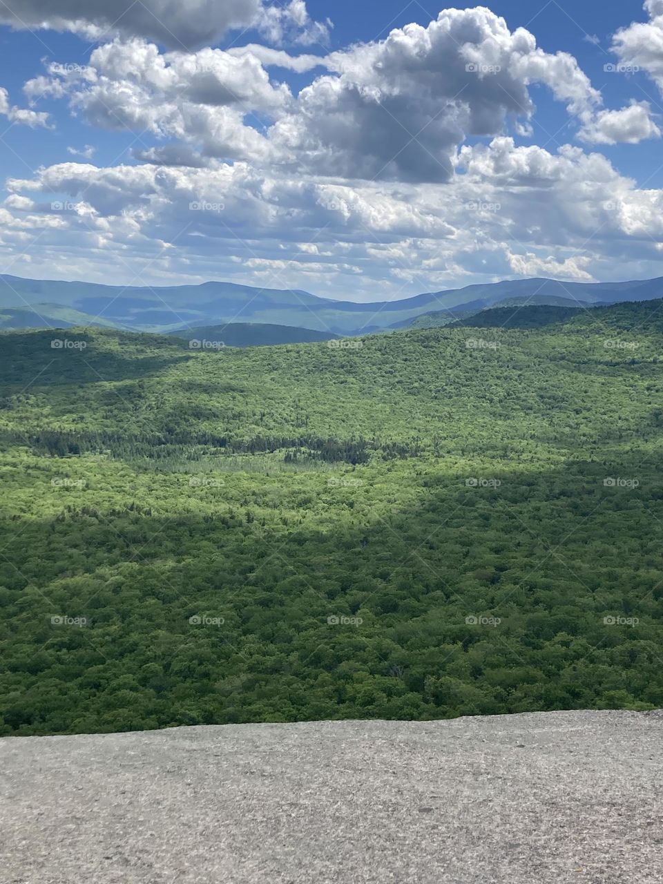 Sunlight poking through in the White Mountains