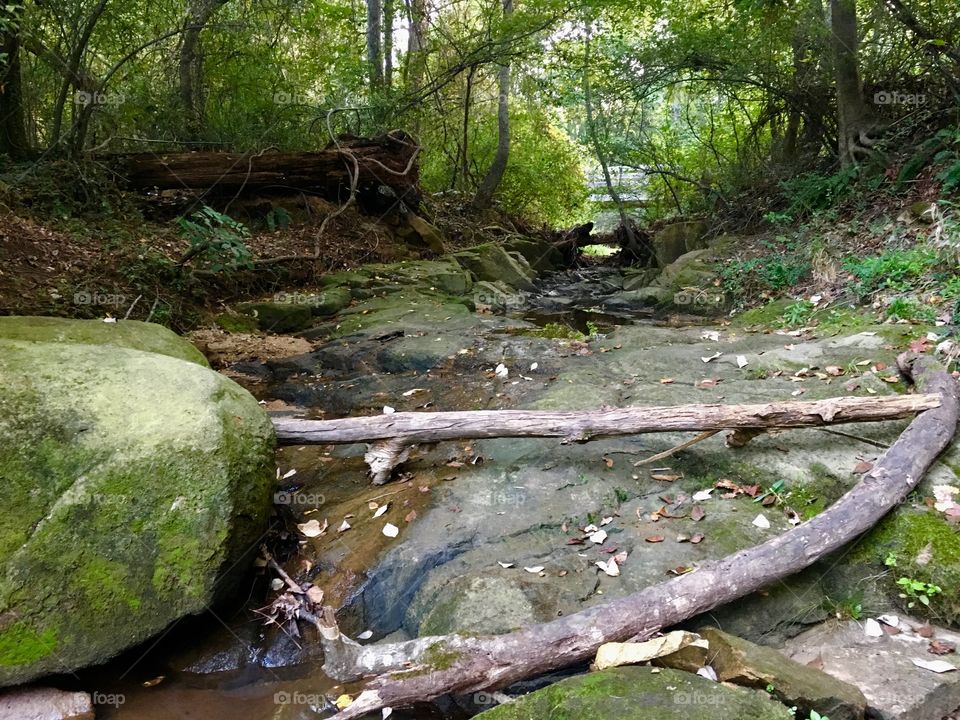 Goof’n around by the stream