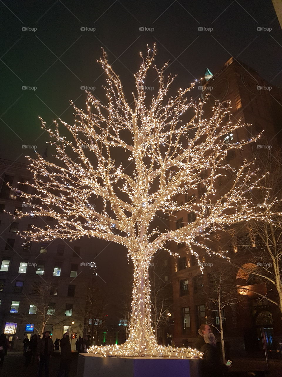 A tree with Christmas lights marvels in Old Montreal. Quebec. Canada.