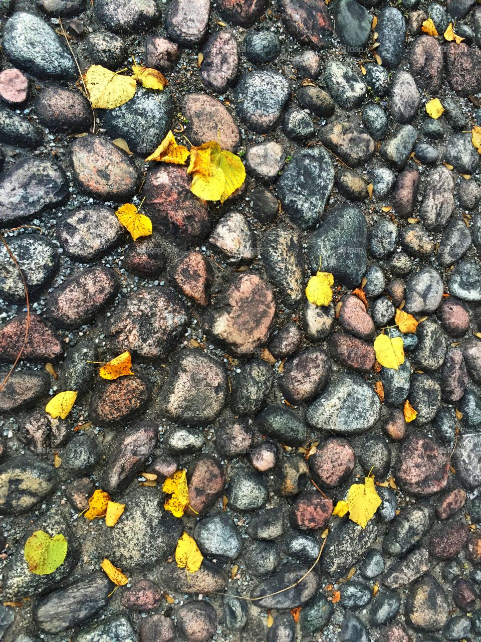 Cobble stones
