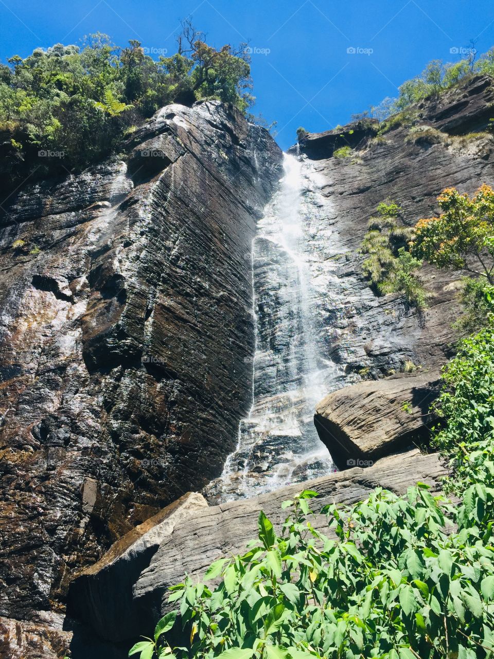 Waterfall ❤️