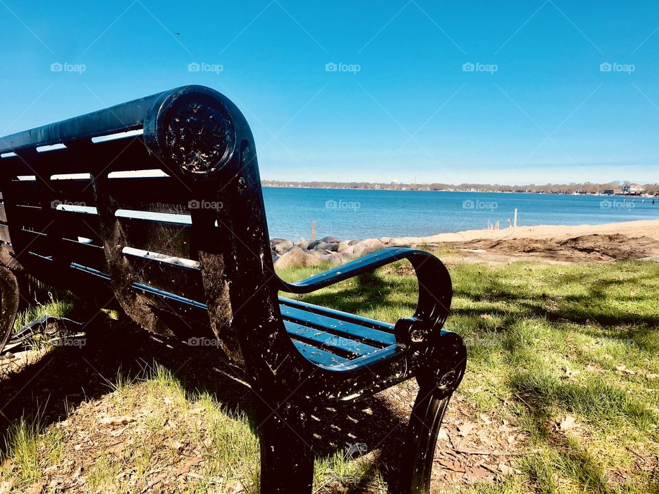 Gorgeous sites seen out for morning walk while trying to take in what nature all has to offer! 