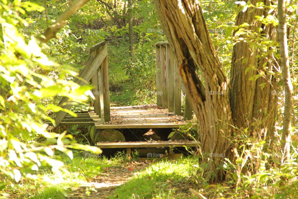 bridge on Appalachian trail