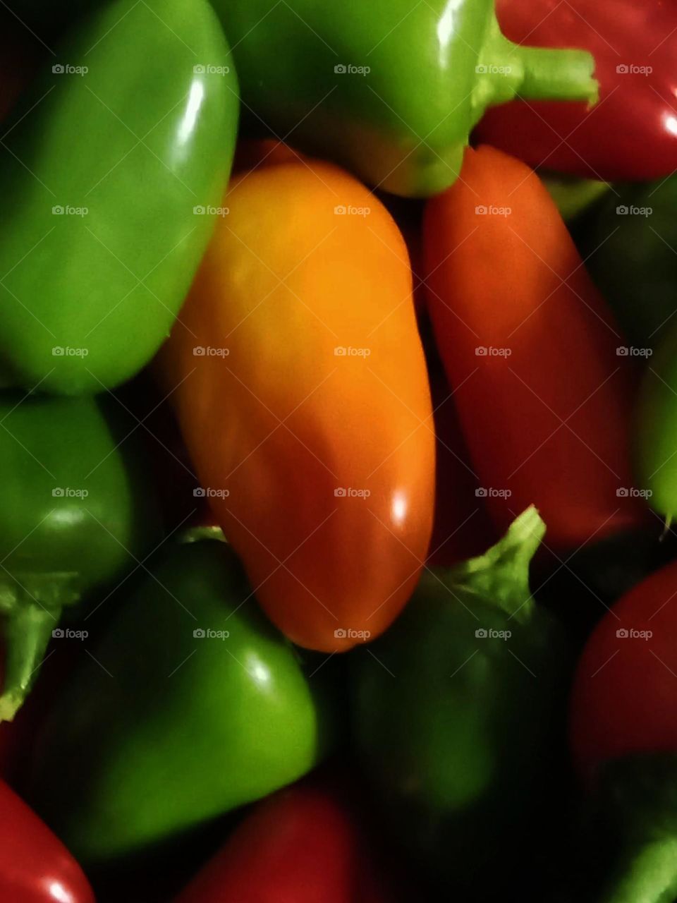 Capsicums