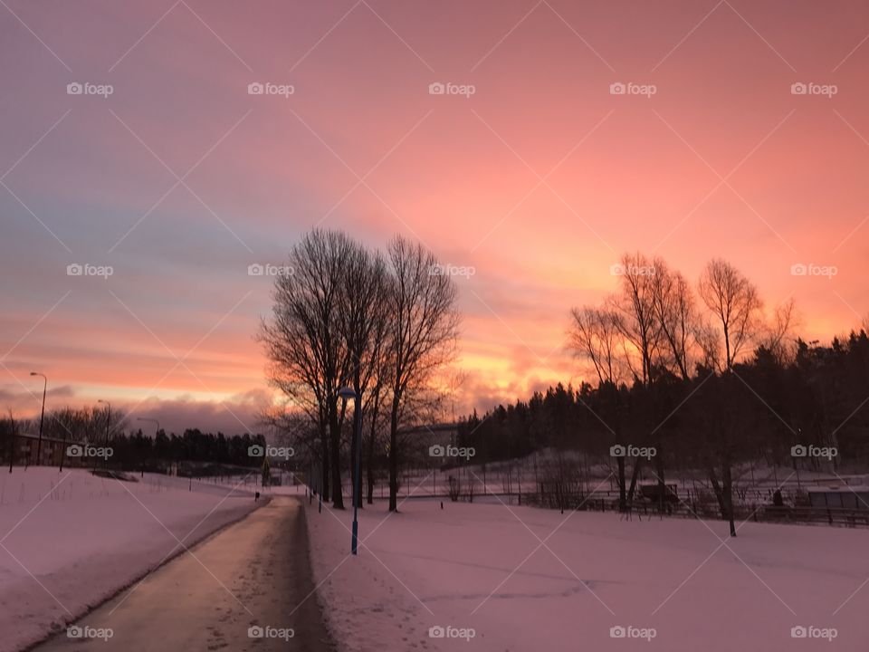 Swedish sunrise during winter