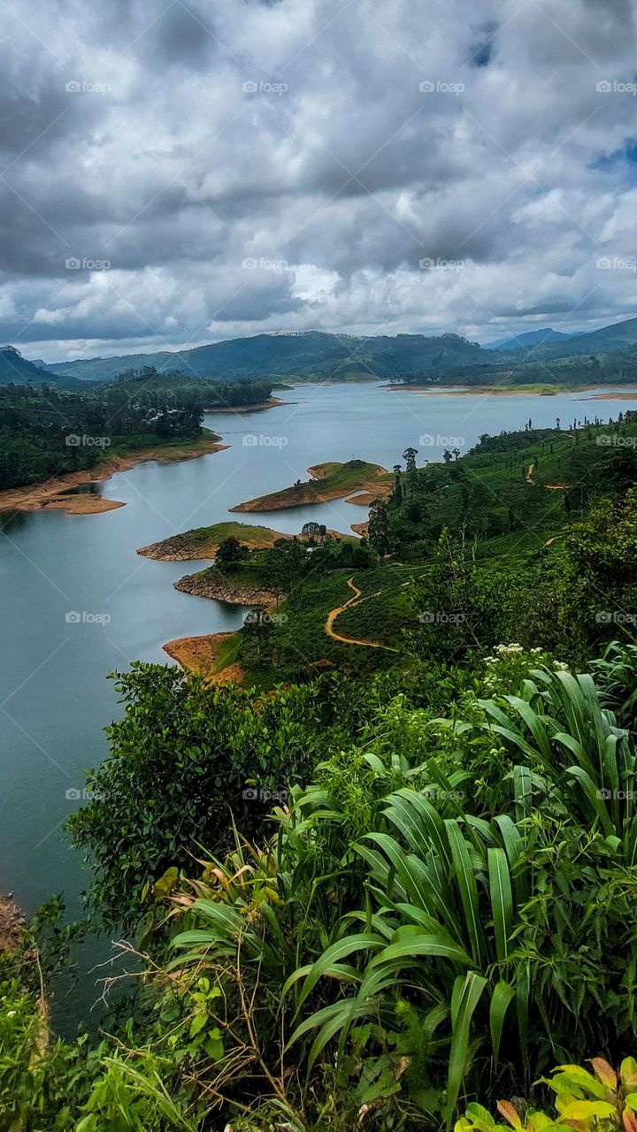 Aerial Serenity: Maskeliya Reservoir's Panorama from Gartmore Waterfall