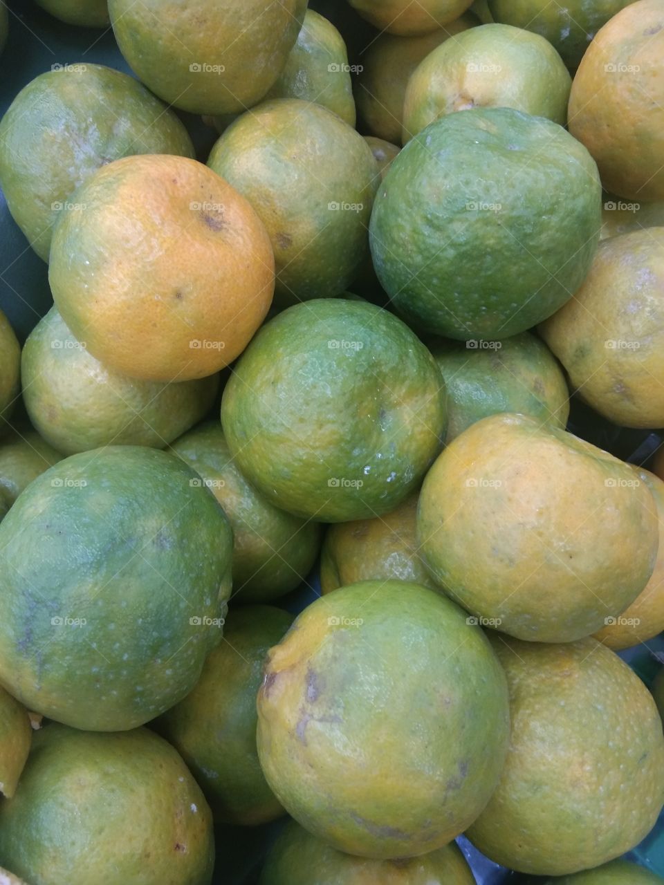 citrus fruit on the supermarket