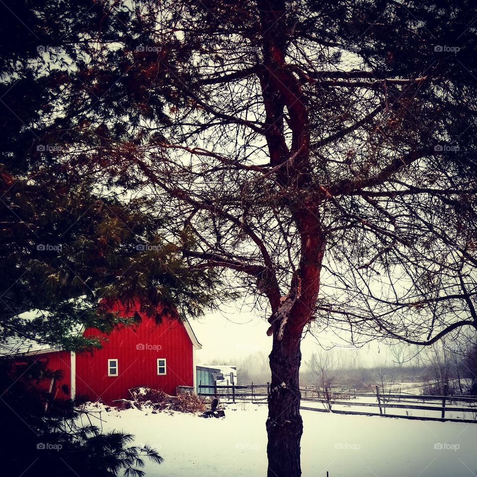 red barn