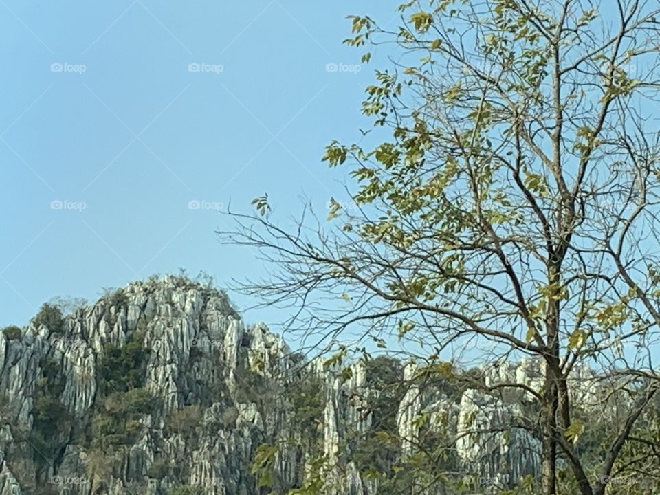 Shape of the nature, Countryside ( Thailand)