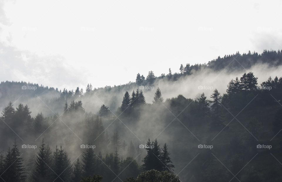 Clouds at the mountain