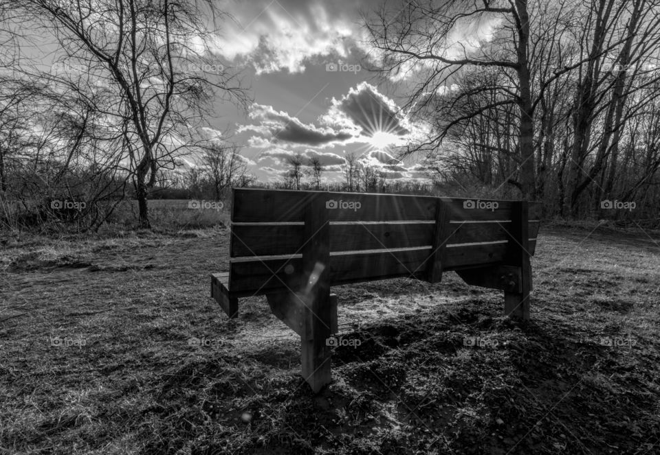 park bench