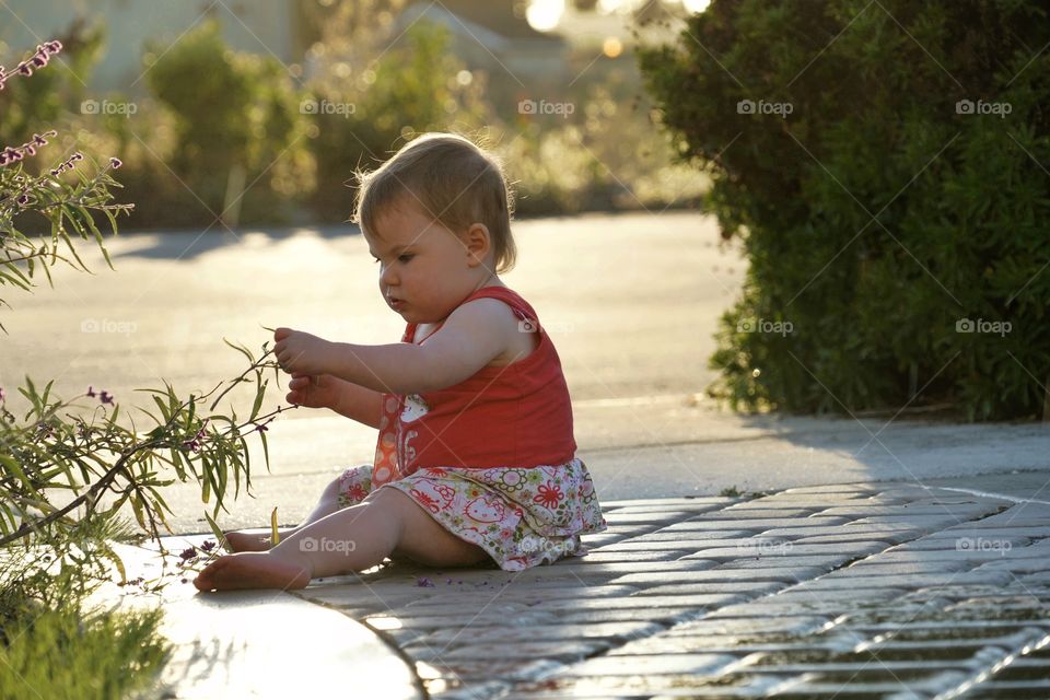 Toddler Girl Outside During Golden Hour