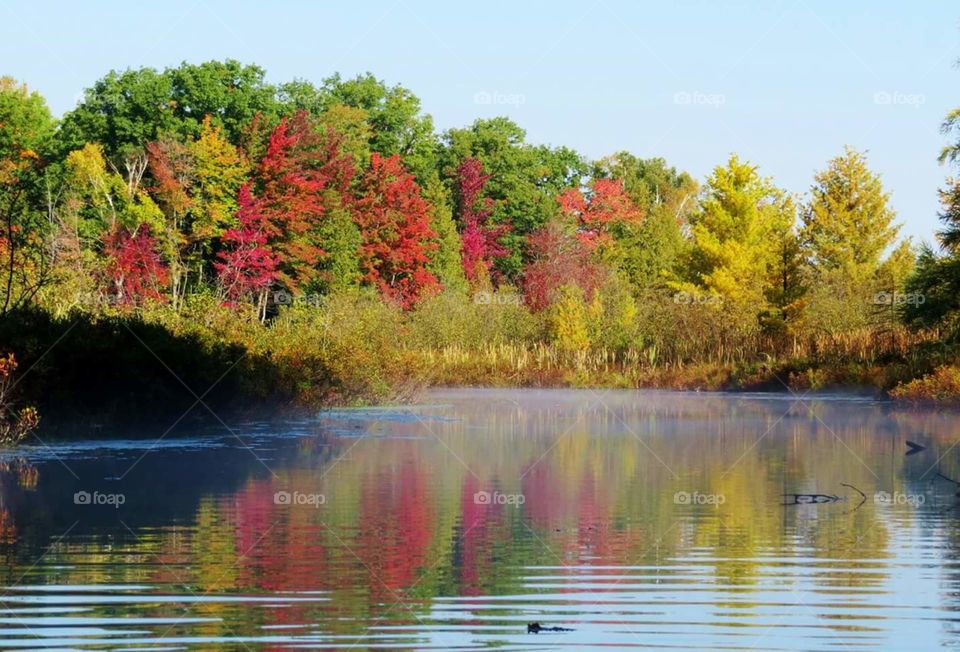Mist on small tributary on kayak during the beautiful Fall Colors
