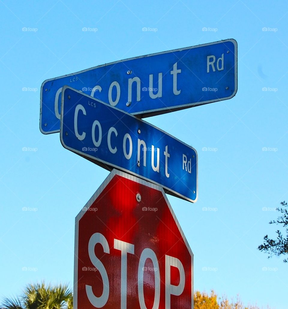 Corner of coconut and coconut