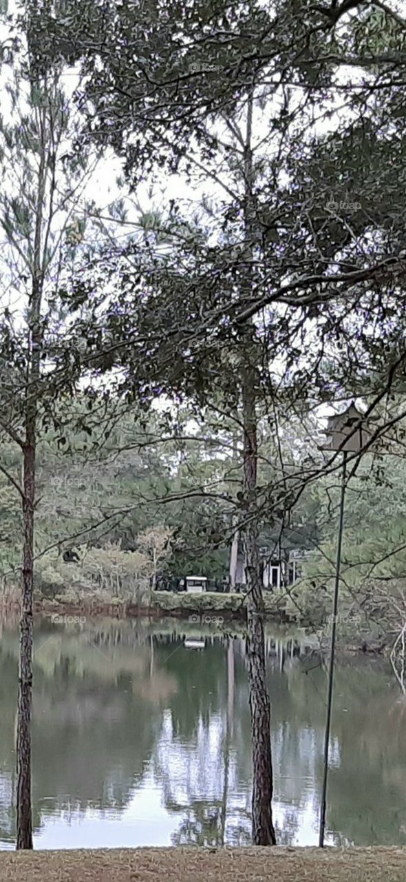 reflections in the morning