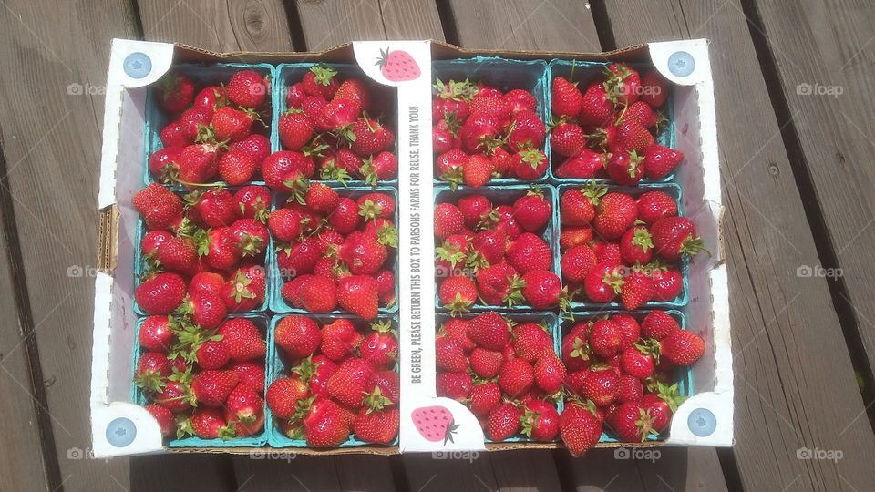 Farmers Market Hood Strawberries