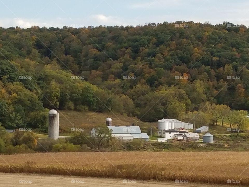 Driving the Back Roads and enjoying everything around us. The fall color is just beginning.
